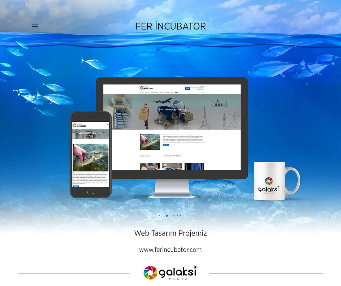 Fer Incubator web sitesi — Fer Incubator (Web Tasarım)